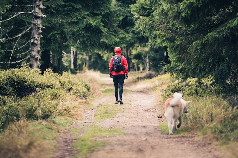 Hiking Can Make You Happier and Healthier