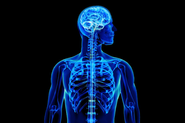 Can Physical Therapy Help a Spinal Cord Injury Patient?