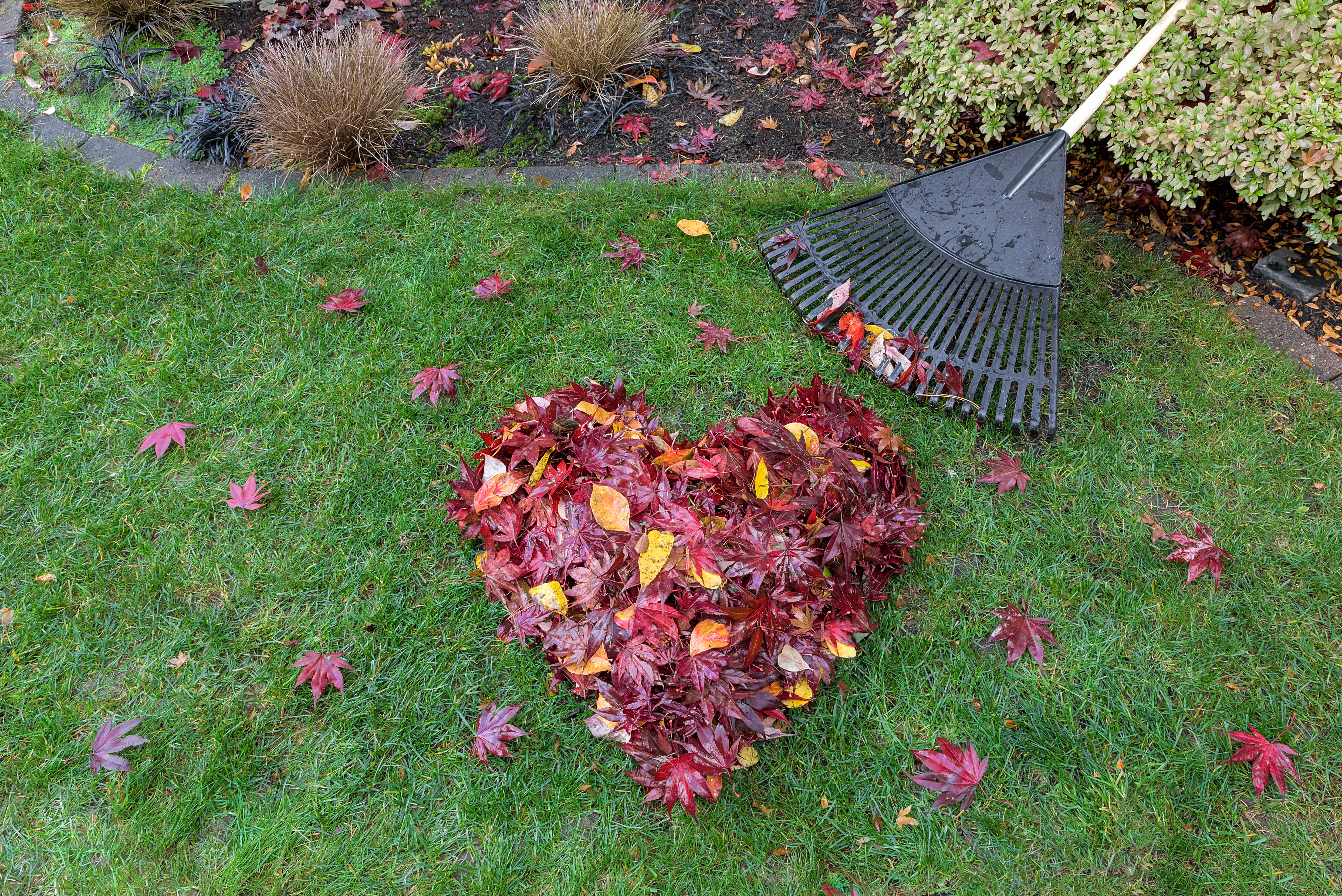 ‘Leave’ Back Pain from Raking Behind With These 7 Tips